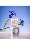 PANIER DES SENS SCENTED CANDLE - BLOOMING IRIS