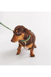 KIP&CO DOG COLLAR - DOG PARK