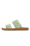 LOS CABOS DOTI - LIME