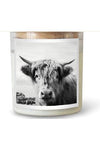 THE HIGHLAND COW CANDLE - BYRON BAY