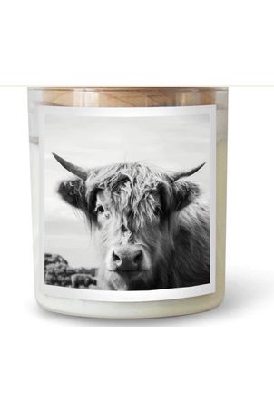 THE HIGHLAND COW CANDLE - BYRON BAY