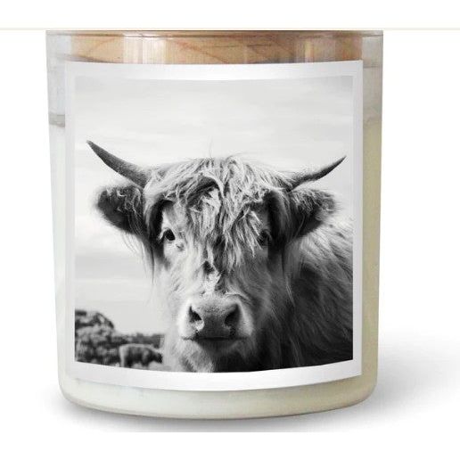 THE HIGHLAND COW CANDLE - BYRON BAY