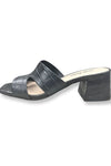 TOP END CORLAT - BLACK  CROC