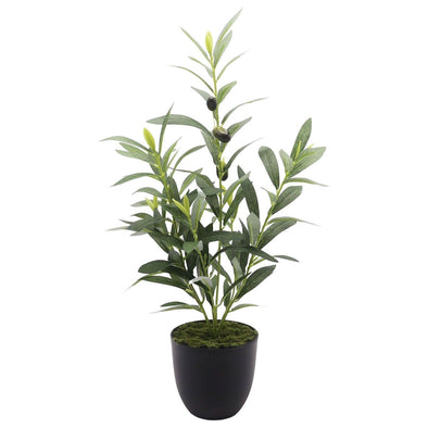 OLIVE PLANT - GREEN (51cm)