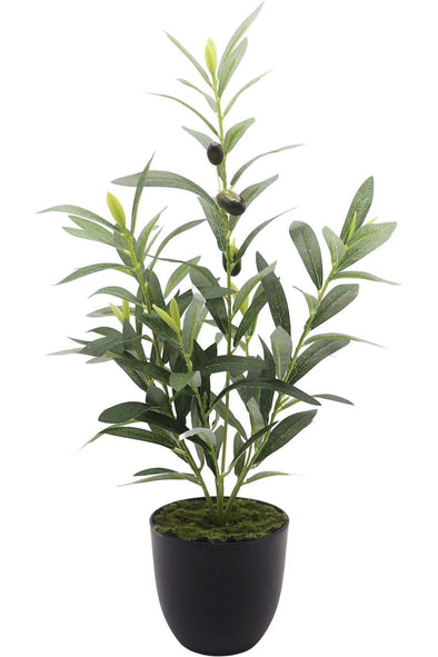 OLIVE PLANT - GREEN (51cm)