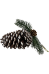 PINE CONE - HANGING