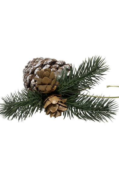PINE CONE - HANGING